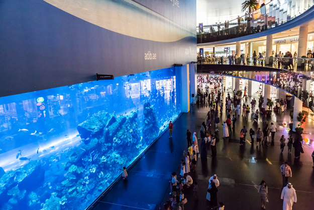 Largest Aquarium Of The World In Dubai Mall